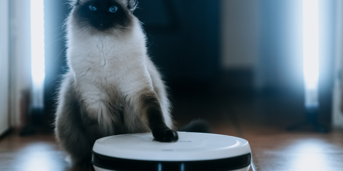 Ten Robot Vacuum Cleaner For Sale That Will Make Your Life Better